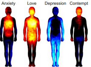 Read more about the article How Emotions Affect the Body